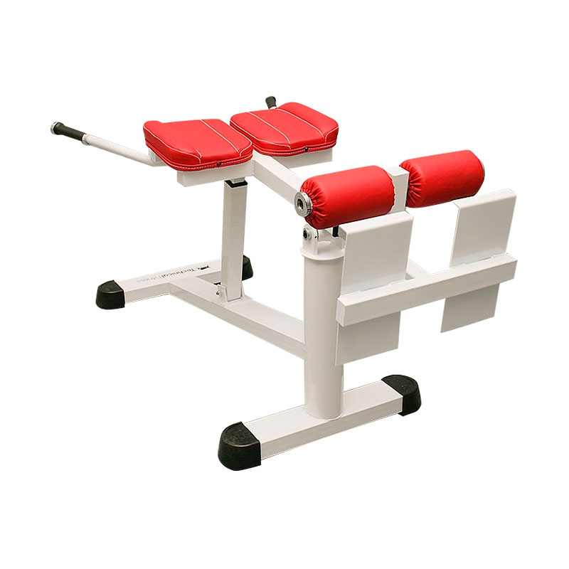 Appareil De Fitness Hyperextension Dos Modèle Y Pliable - Capacité 113 Kg - Acier Carbone - Neuf